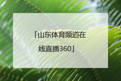 「山东体育频道在线直播360」上海体育频道在线直播