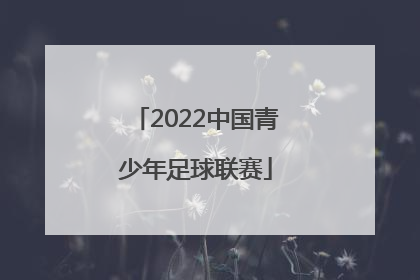 「2022中国青少年足球联赛」2022中国青少年足球联赛u17