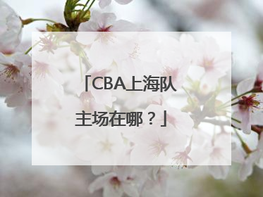 CBA上海队主场在哪？