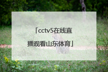 「cctv5在线直播观看山东体育」cctv5+体育在线直播观看女排